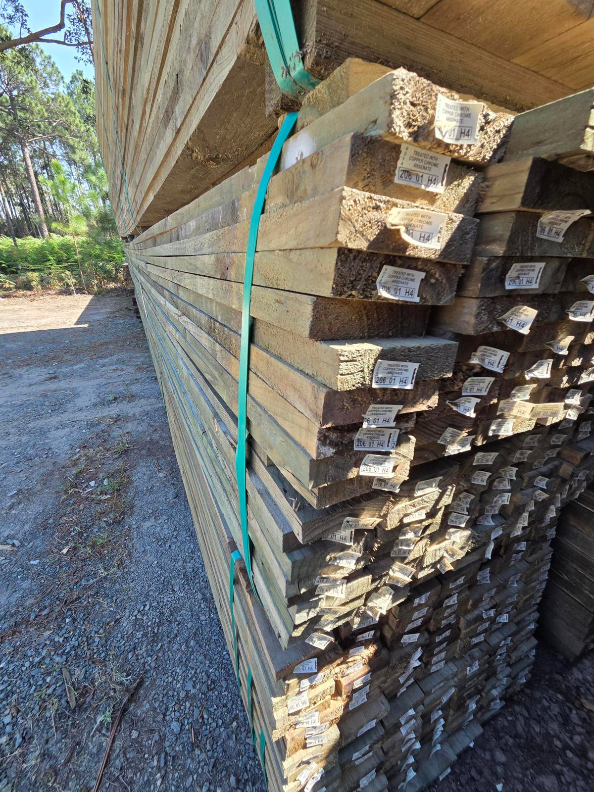 H4 CCA Treated Pine - 100mm x 25mm Edging