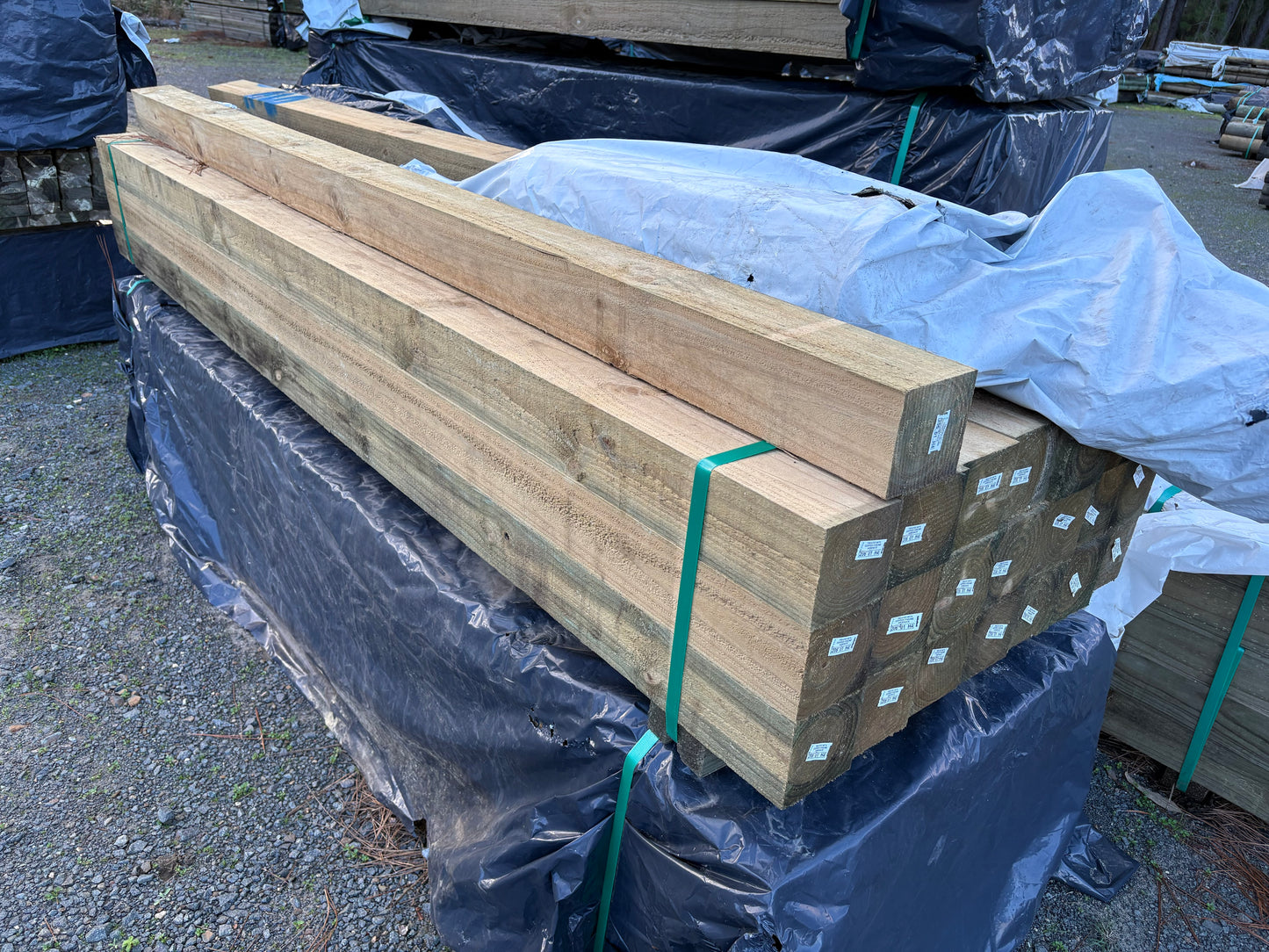 Treated Pine 100mm x 100mm H4