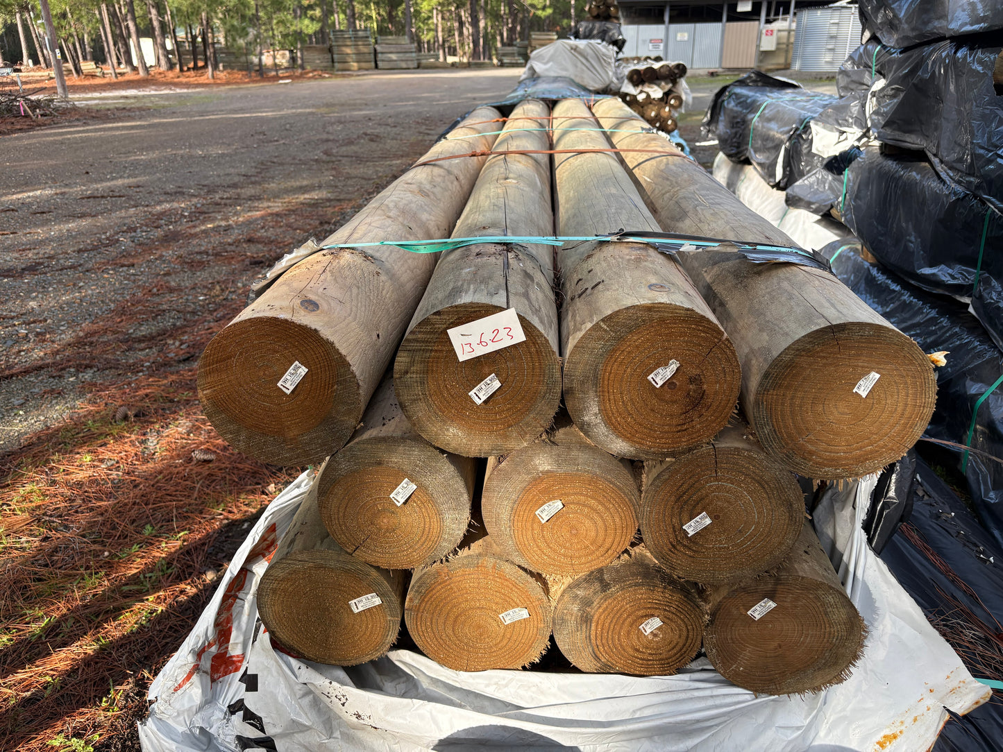 Treated Pine 200mm H4 Round
