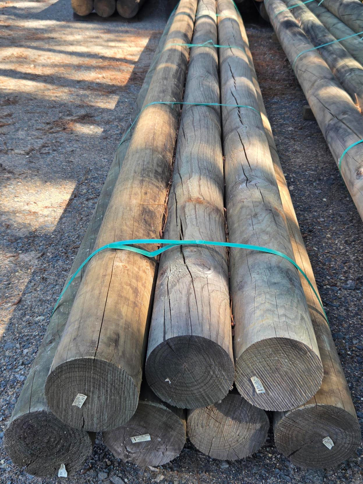 H4 CCA Treated Pine Round - 175mm