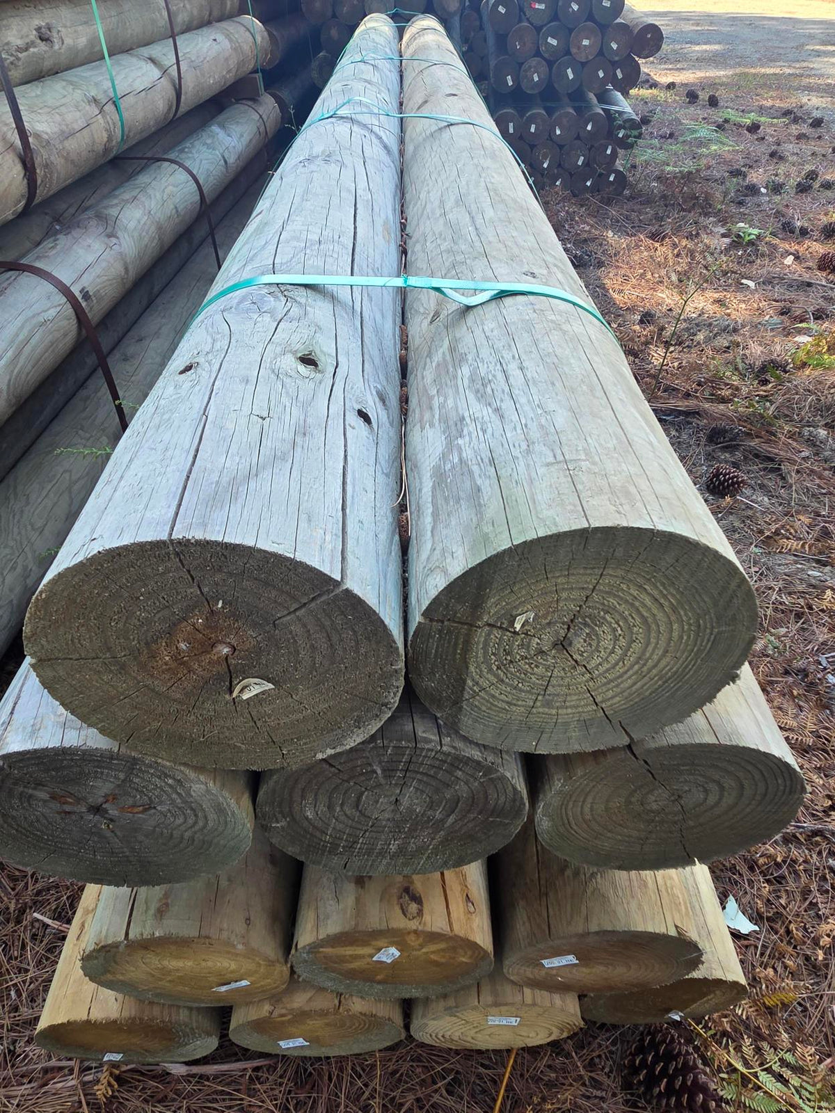 H4 CCA Treated Pine Round - 200mm