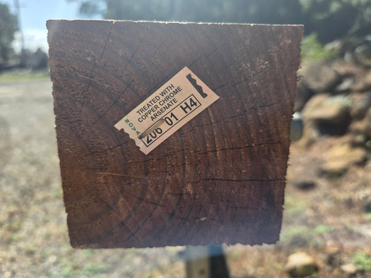 Treated Pine 100mm x 100mm H4