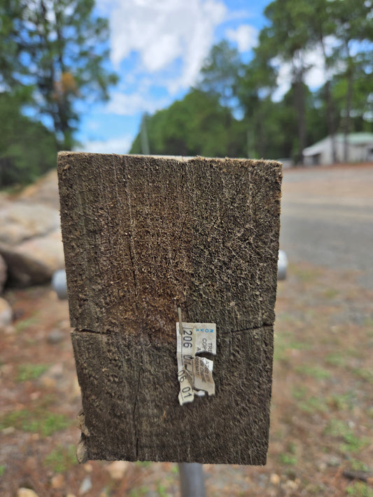 Treated Pine 150mm x 100mm H4