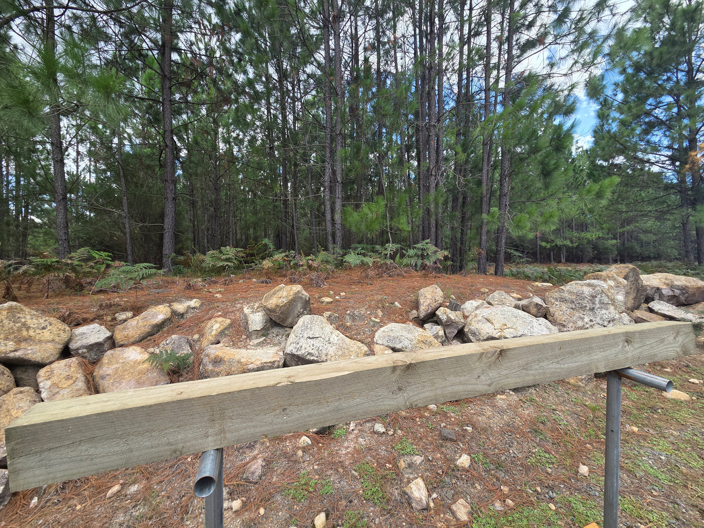 Treated Pine 150mm x 100mm H4