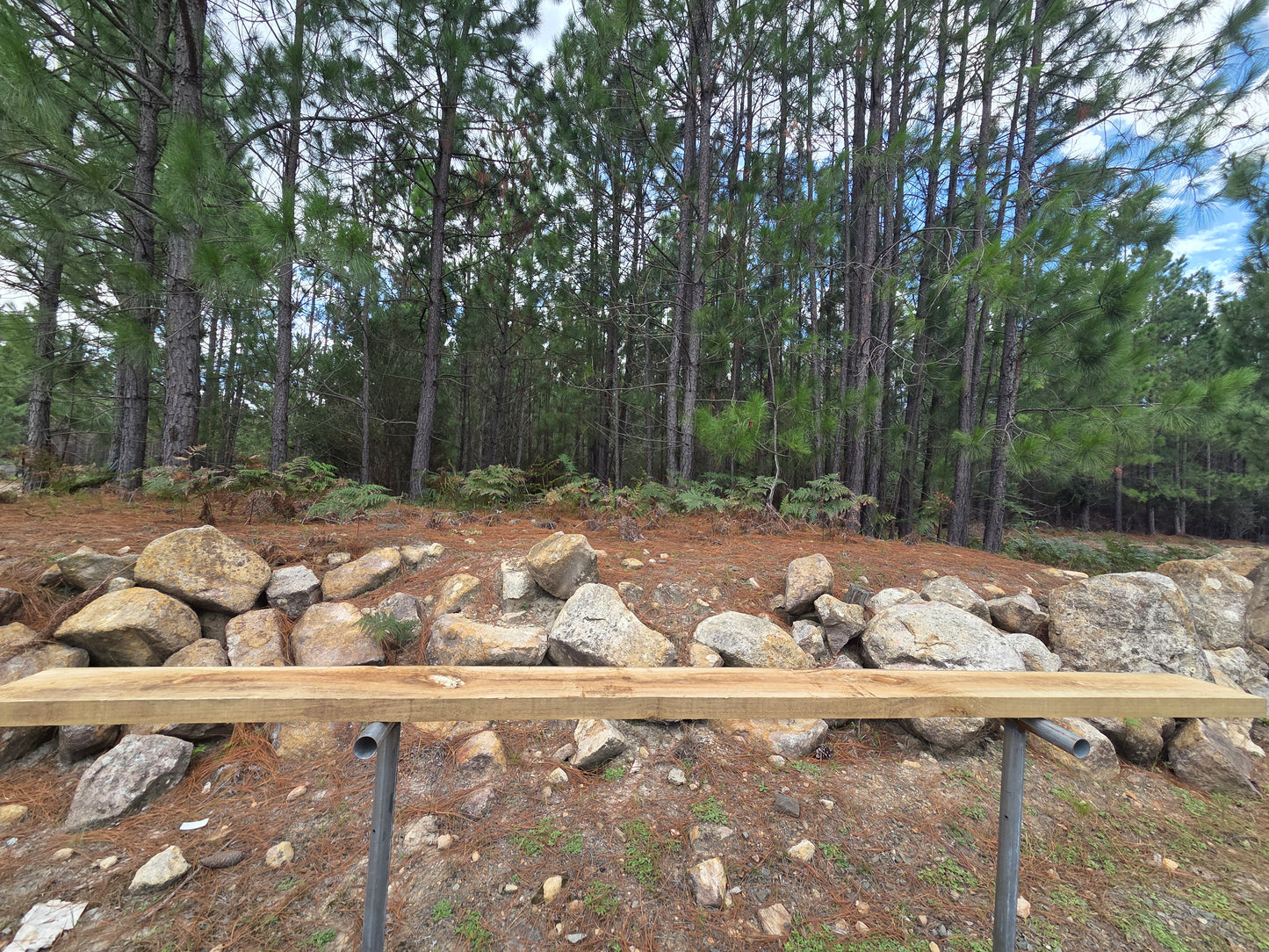 Treated Pine 200mm x 50mm H4