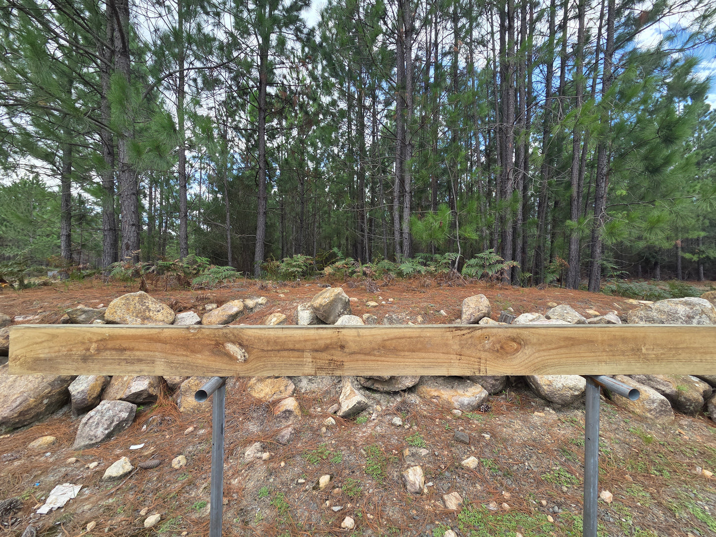 Treated Pine 200mm x 50mm H4