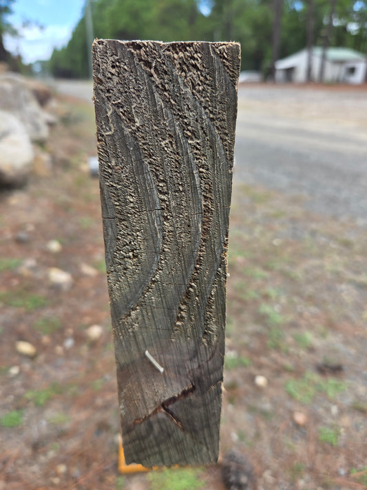 Treated Pine 200mm x 50mm H4