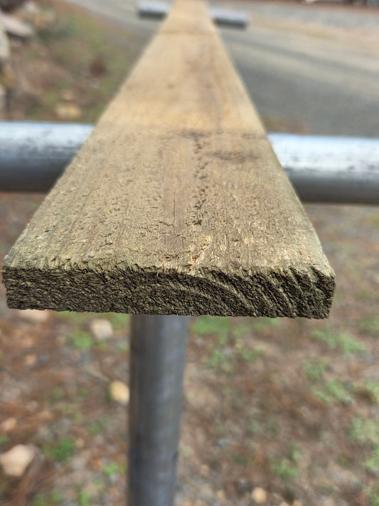 Treated Pine 100mm x 16mm H4