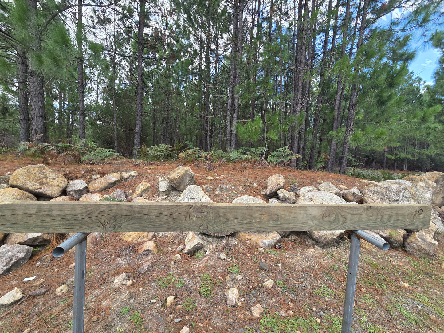 Treated Pine 150mm x 50mm H4