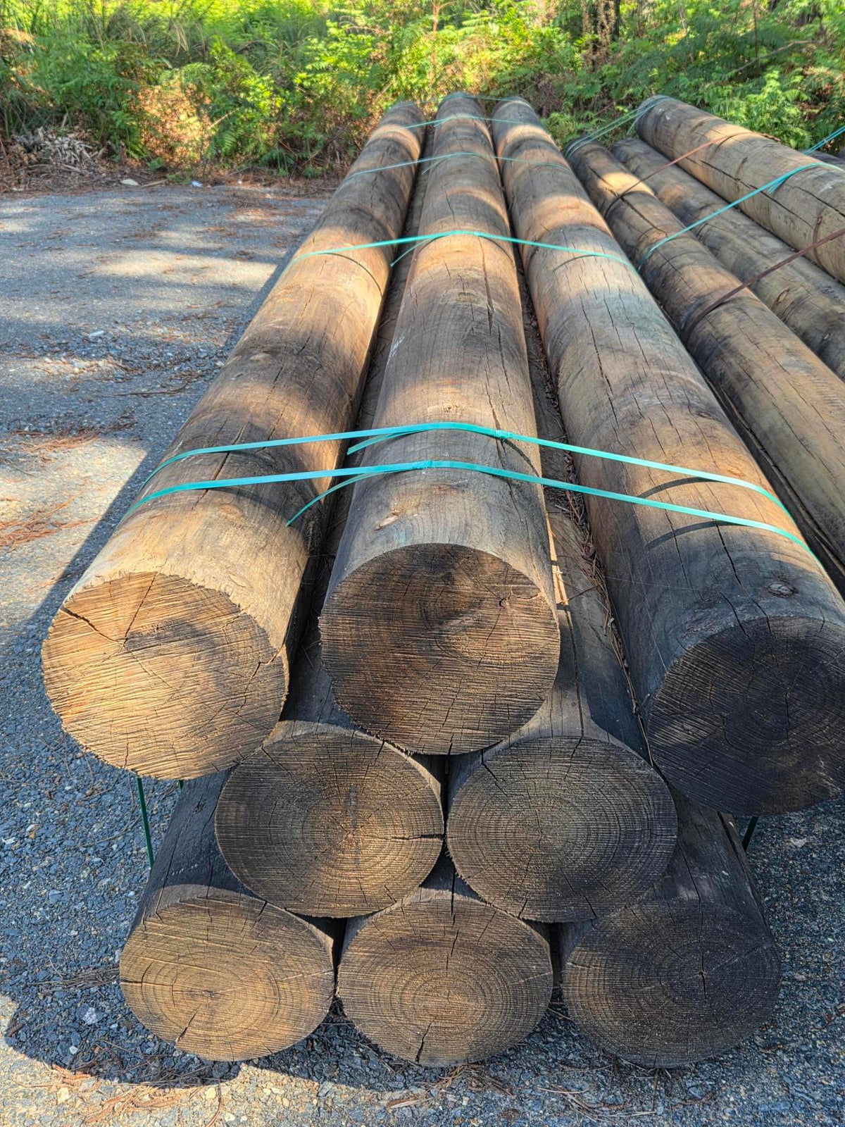 H4 CCA Treated Pine Round - 240mm
