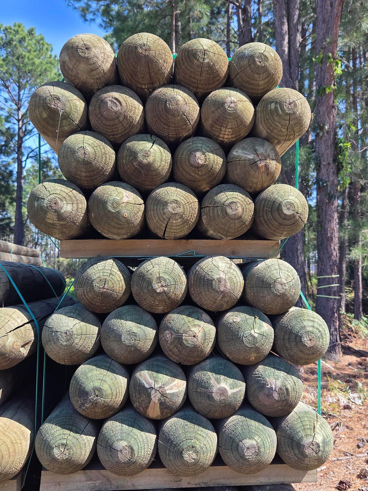 Treated Pine 150mm H4 Dome Top