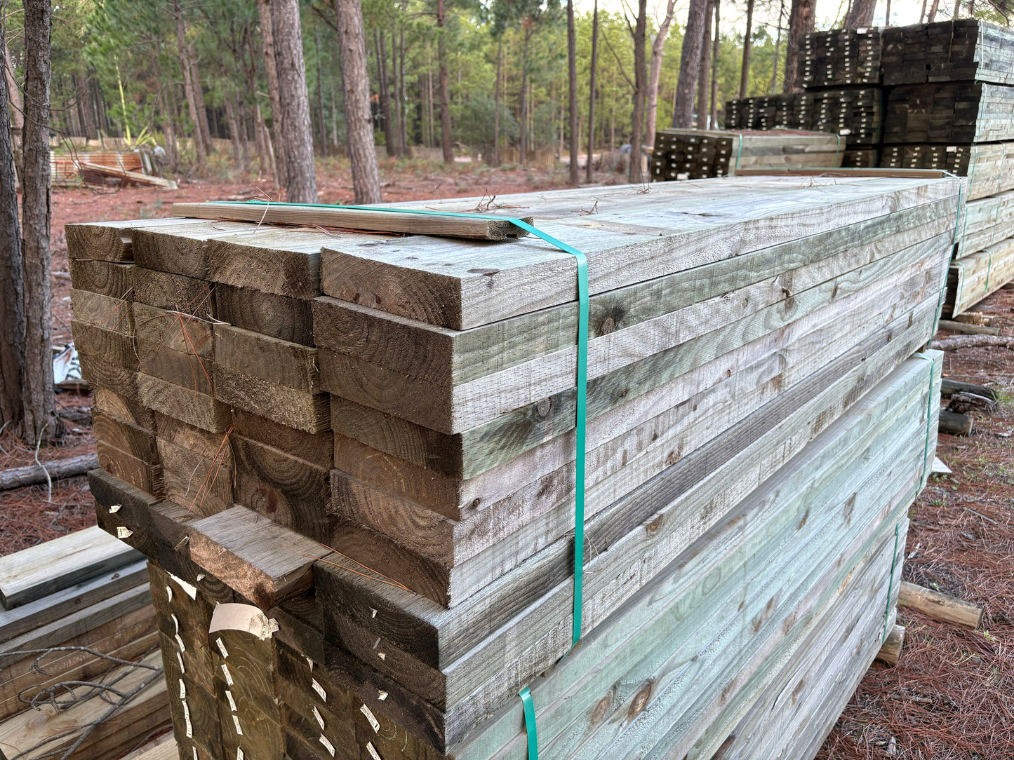 Treated Pine 200mm x 50mm H4