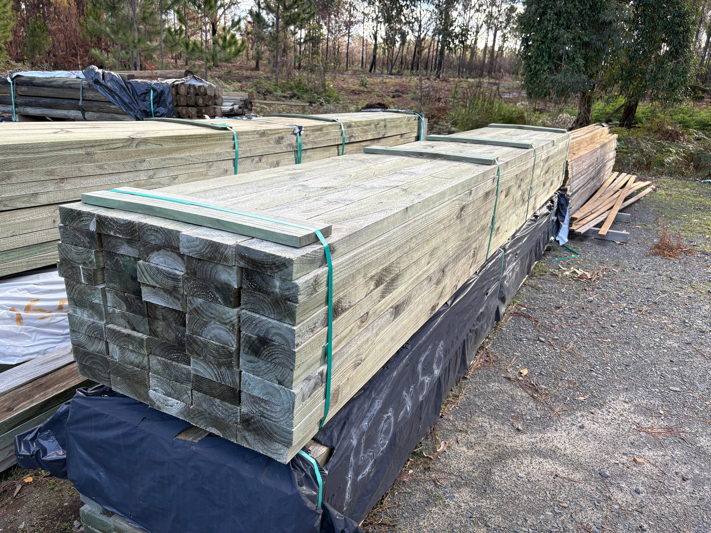 Treated Pine 150mm x 50mm H4