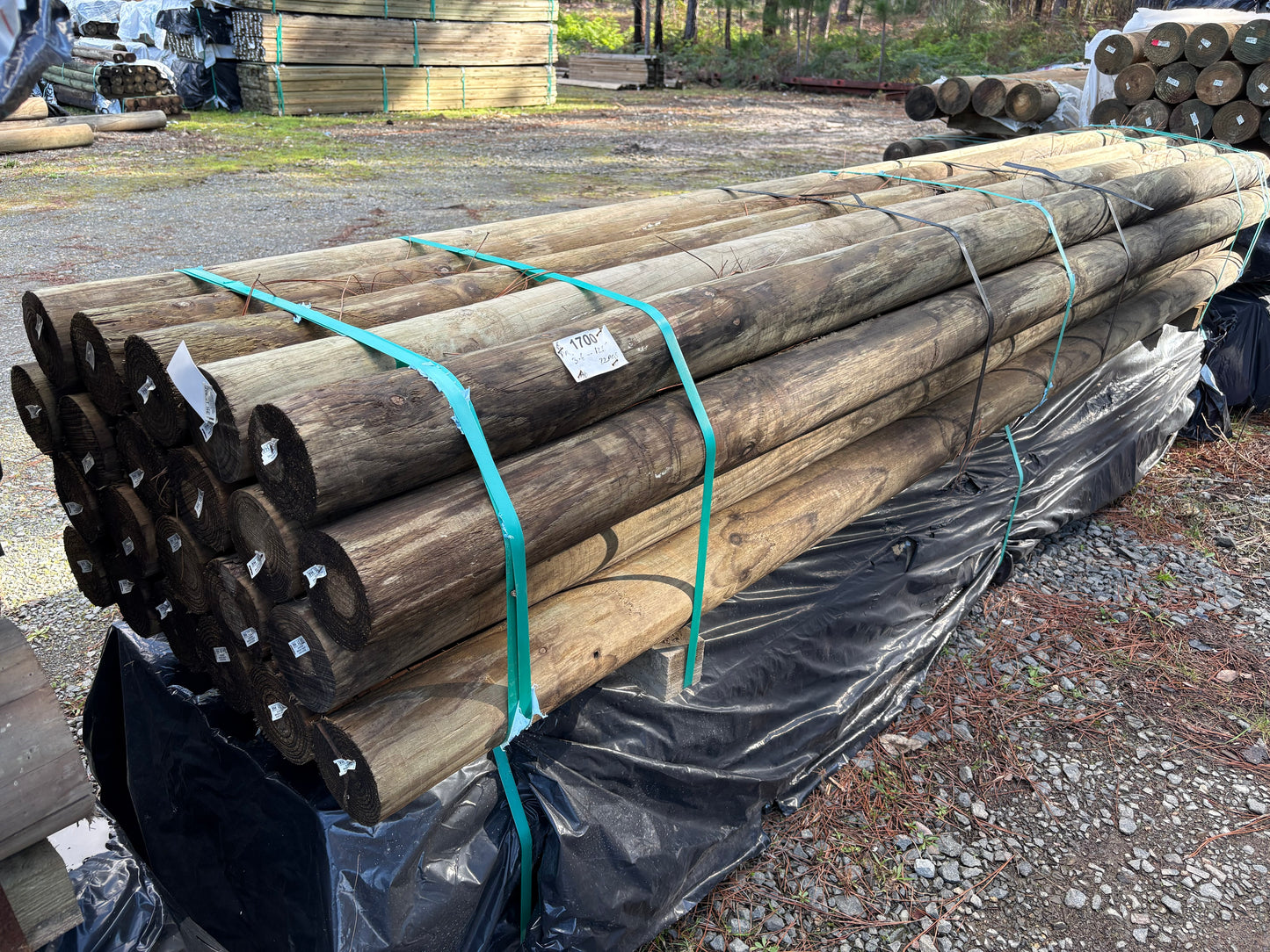 Treated Pine 125mm H4 Round
