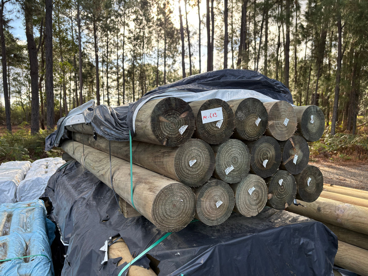 H4 CCA Treated Pine Round - 150mm