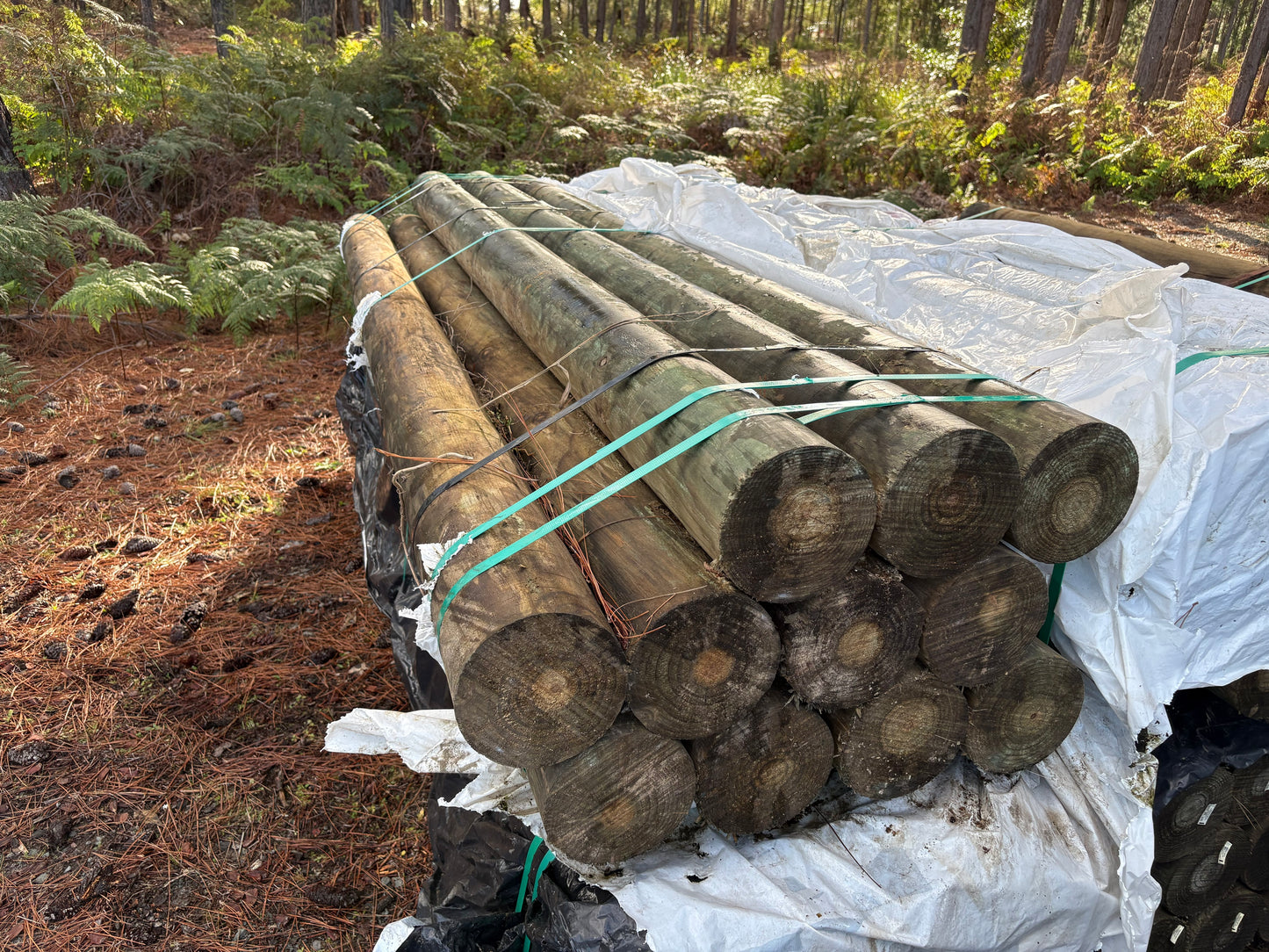 Treated Pine 175mm H4 Round