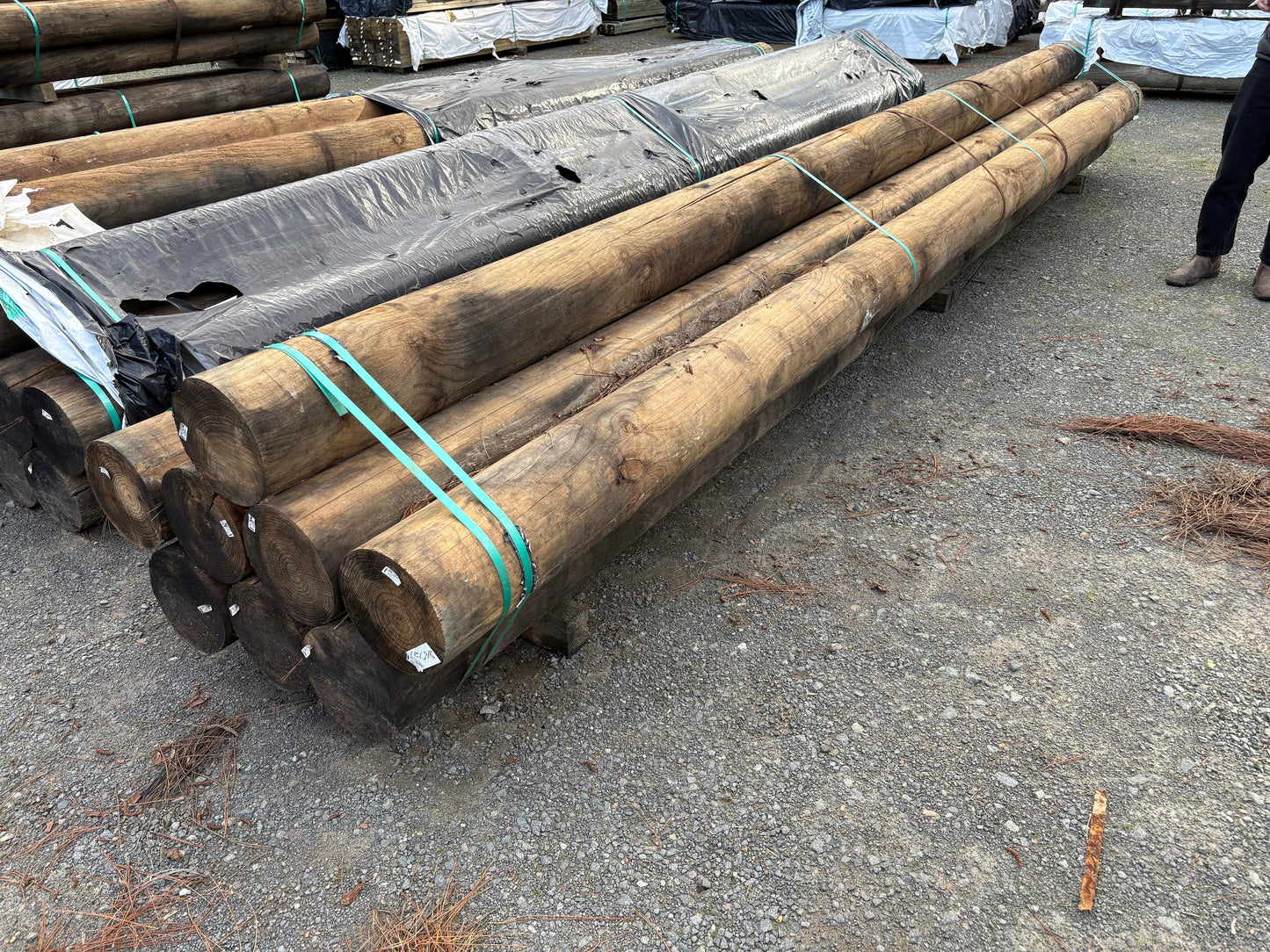 Treated Pine 240mm H4 Round