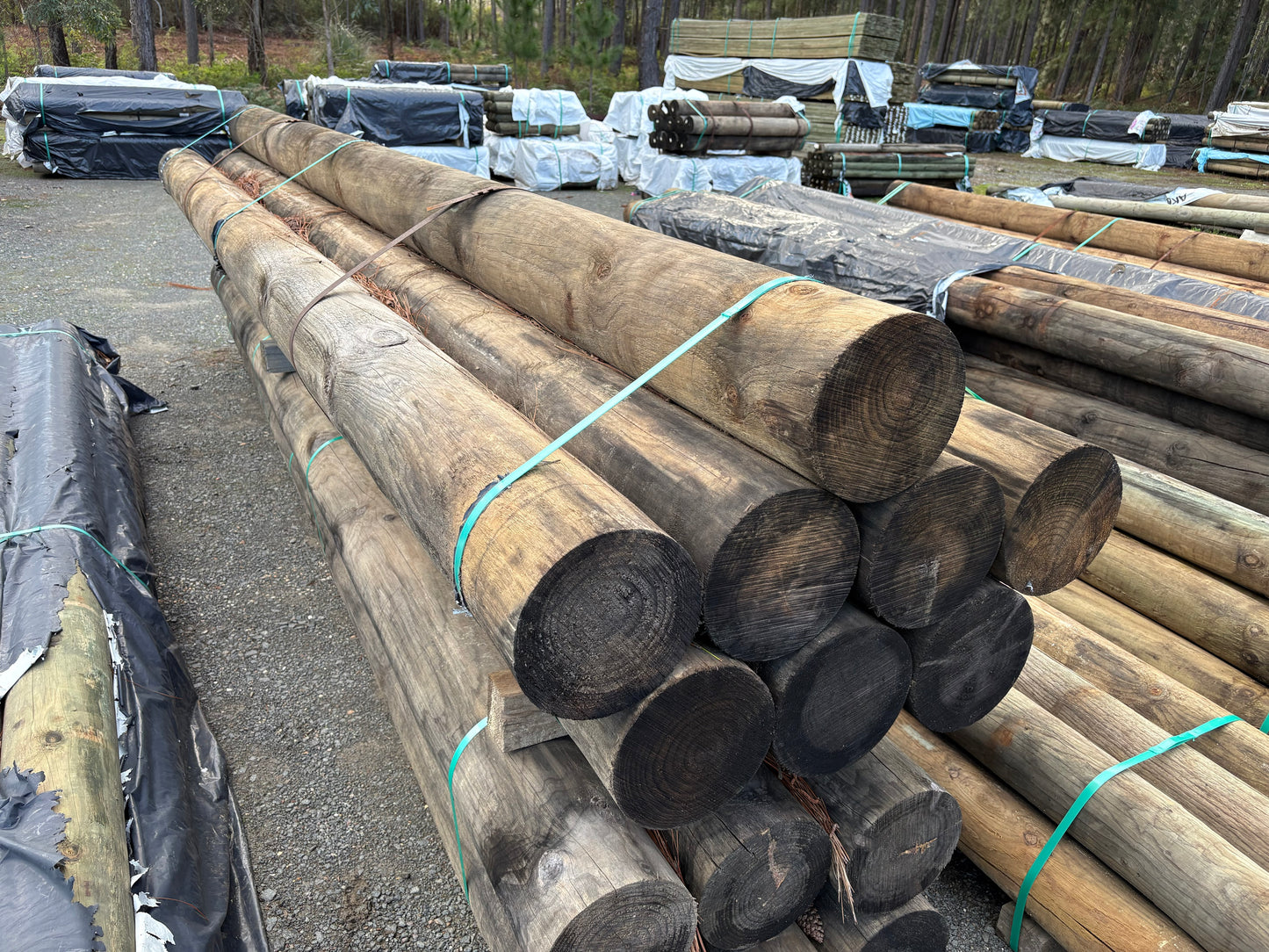 Treated Pine 240mm H4 Round